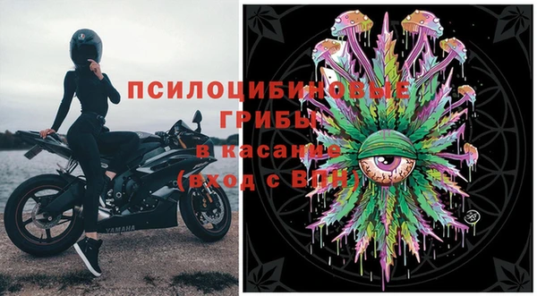 прущий лед Алзамай