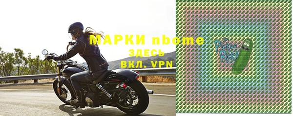 прущий лед Алзамай